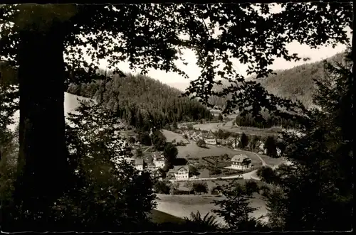 Ansichtskarte Schönmünzach-Baiersbronn Blick auf die Stadt 1954