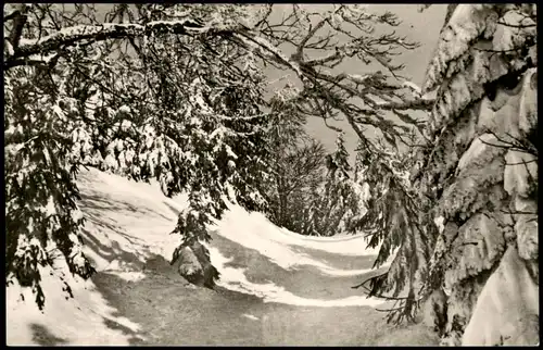Ansichtskarte Bischofsgrüner Forst Ochsenkopf (Fichtelgebirge) im Winter 1964