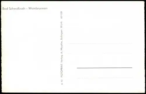 Ansichtskarte .Hessen Bad Schwalbach - Weinbrunnen 1960