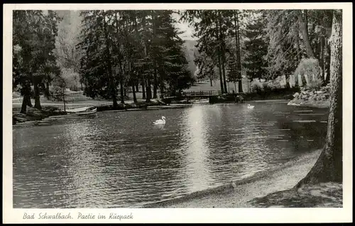 Ansichtskarte .Hessen Bad Schwalbach Teich Partie im Kurpark 1955