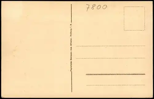 Ansichtskarte Freiburg im Breisgau Brunnen am Münsterplatz 1920
