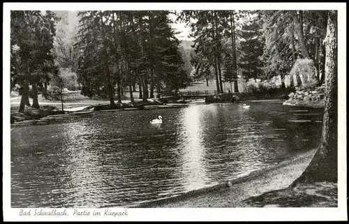 Ansichtskarte .Hessen Bad Schwalbach Partie im Kurpark 1954
