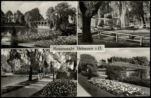 Ansichtskarte Uetersen Im Rosarium - 4 Bild 1964