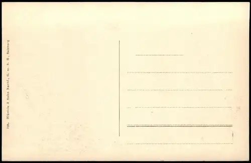 Ansichtskarte Zell am See Stadt und Steinerndes Meer 1912