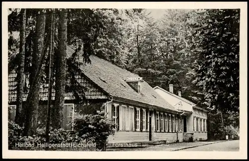 Heilbad Heiligenstadt Partie am Forsthaus; Ort im Eichsfeld 1963