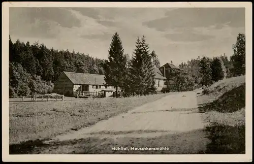 Eisenberg Thüringen Mühltal Partie a.d. Meuschkensmühle 1951 Stempel STADTRODA