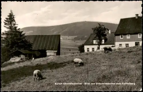 Oberwiesenthal Umland-Blick von Unterwiesenthal zum Fichtelberg 1962