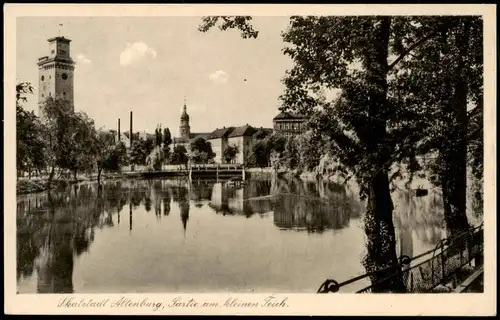 Ansichtskarte Altenburg Skatstadt Partie am kleinen Teich 1950