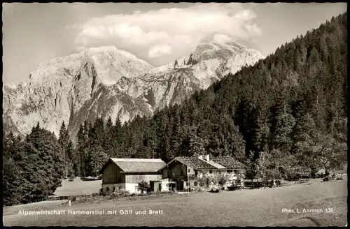 Berchtesgaden Alpenwistschaft Hammerstiel mit Göll und Brett 1961
