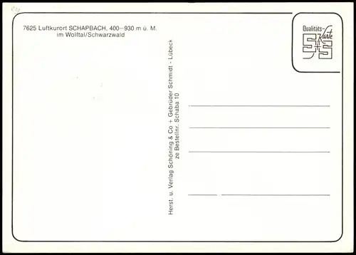 Bad Rippoldsau-Schapbach MB Ortsansichten v. Schapbach im Schwarzwald 1980