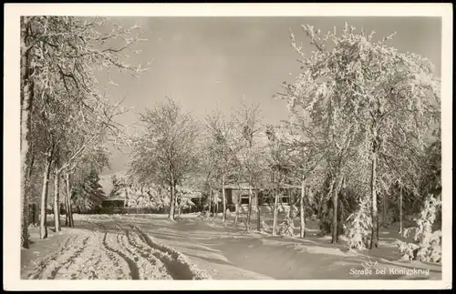 Ansichtskarte Braunlage Straße bei Königskrug im Winter 1854