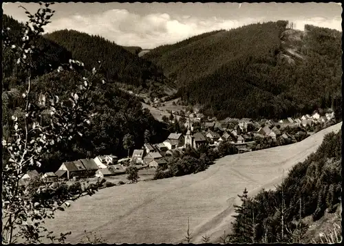 Ansichtskarte Sieber (Herzberg am Harz) Stadtpartie 1964