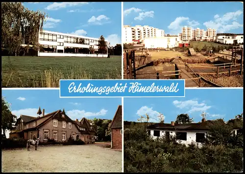 Ansichtskarte Hämelerwald Erholungsgebiet Hämelerwald Mehrbildkarte 1987