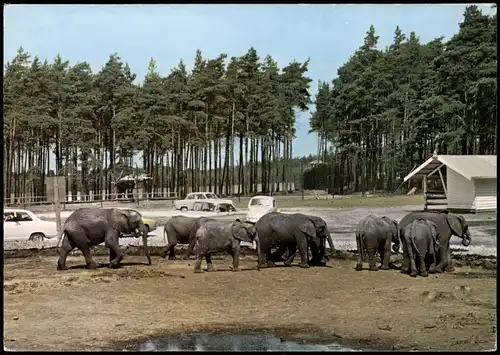 Schloß Holte-Stukenbrock Hollywood Safaripark Stukenbrock Elefanten Senne  1990