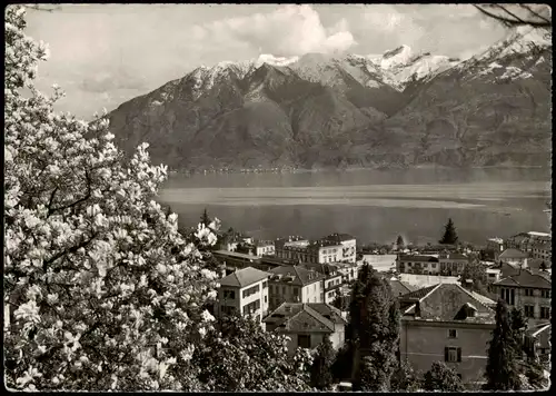 Ansichtskarte Lugano Stadt, Baumblüte 1955
