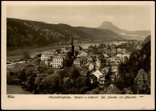 Ansichtskarte Bad Schandau Stadt und Lilienstein 1953 Walter Hahn:4111
