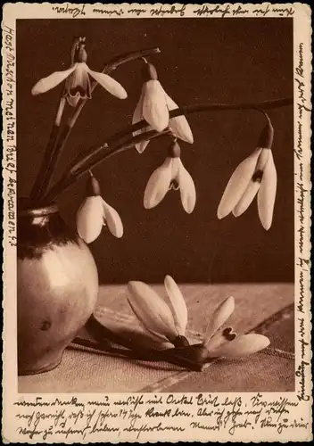 Ansichtskarte  Künstlerkarte Vase mit Schneeglöckchen 1948