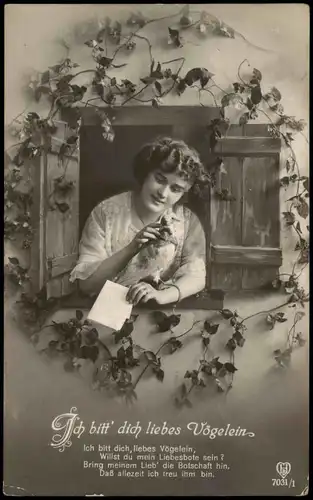 Ansichtskarte  Ich bitt dich, liebes Vögelein - Liebe Frau Brieftaube 1916