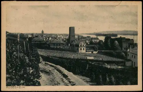 Ansichtskarte Rüdesheim (Rhein) In den Weinbergen - Blick zur Stadt 1923