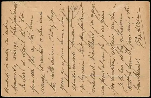 Ansichtskarte Rüdesheim (Rhein) In den Weinbergen - Blick zur Stadt 1923