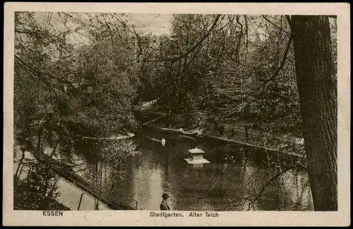Ansichtskarte Essen (Ruhr) Stadtgarten. Alter Teich, Schwanenhaus 1922