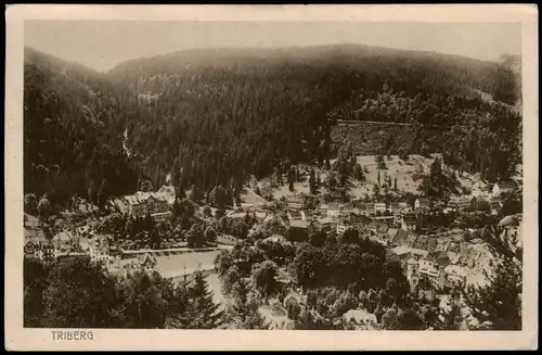 Ansichtskarte Triberg im Schwarzwald Blick auf die Stadt 1916
