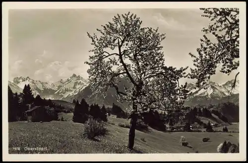 Ansichtskarte Oberstdorf (Allgäu) Baumblüte 1936