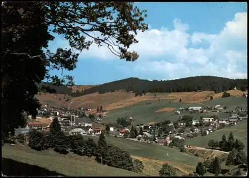 Ansichtskarte Todtnauberg Panorama-Ansicht 1982