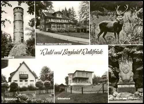 Waldfriede (Soonwald) Mehrbildkarte Soonwald Wald-und Berghotel Waldfriede 1967