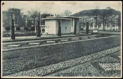 Ansichtskarte Dresden Gartenbau-Ausstellung, Schmuckanlage 1927