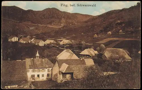 Ansichtskarte Präg-Todtnau Stadtpartie 1912