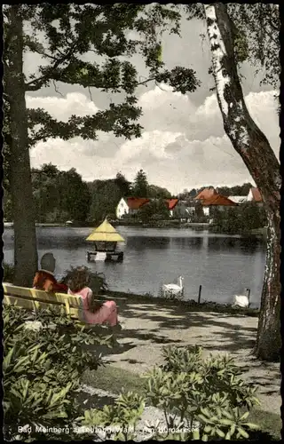 Ansichtskarte Horn-Bad Meinberg Motiv mit Kurparksee Bad Meinberg 1960