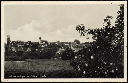 Gimmeldingen-Neustadt an der Weinstraße   Haardt Blick auf die Stadt 1932