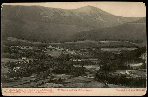 Postcard Wolfshau Stadt und Schneekoppe 1901