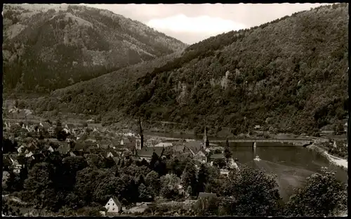Ansichtskarte Neckargemünd Panorama-Ansicht 1960