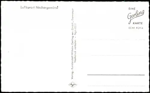 Ansichtskarte Neckargemünd Panorama-Ansicht 1960