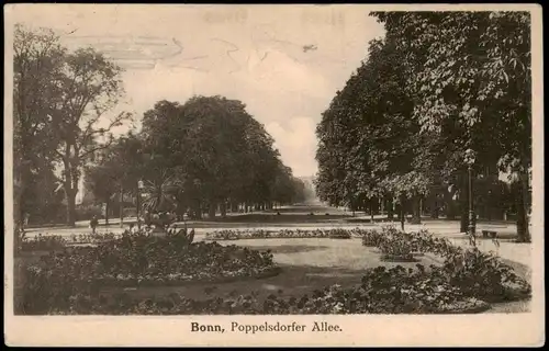 Ansichtskarte Bonn Poppelsdorfer Allee 1913
