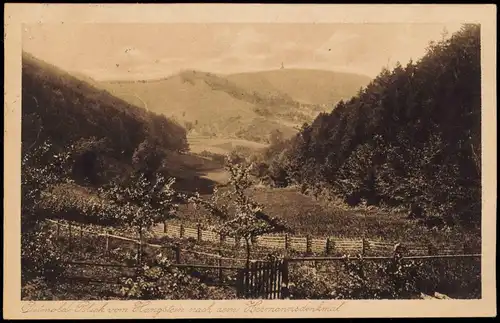 Ansichtskarte Detmold Blick vom Hangstein nach Hermannsdenkmal 1922