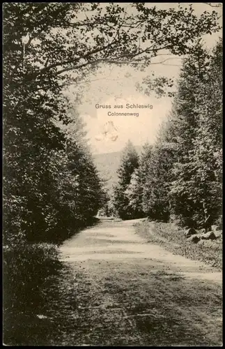 Ansichtskarte Schleswig (Sleswig/Slesvig) Colonnenweg 1912