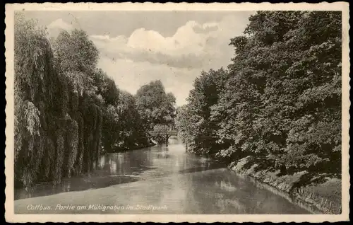 Ansichtskarte Cottbus Partie am Mühlgraben im Stadtpark 1938