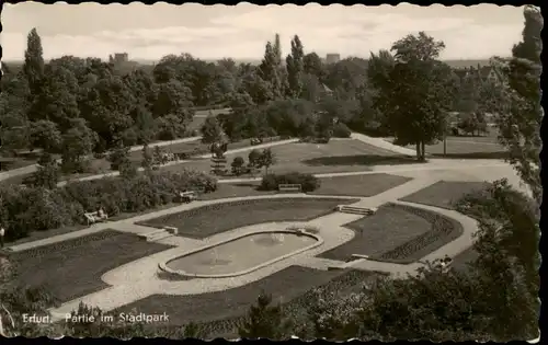 Ansichtskarte Erfurt Partie im Stadtpark zur DDR-Zeit 1957