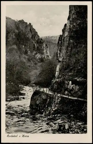 Ansichtskarte Treseburg Partie im Bodetal im Harz 1955