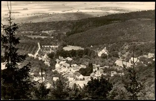 Stecklenberg (Harz)-Quedlinburg Panorama-Ansicht Weitblick Harz 1964