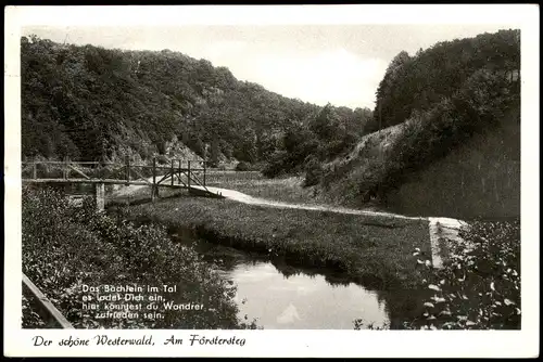 Ansichtskarte .Rheinland-Pfalz Der schöne Westerwald, Am Förstersteg 1960