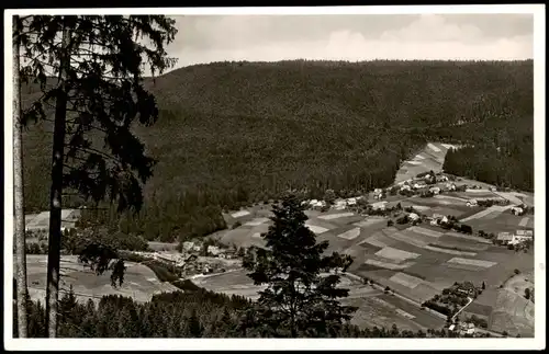 Ansichtskarte Baiersbronn Schönegründ im romantischen Murgtal 1955