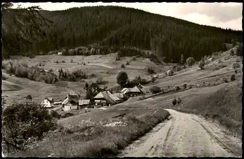 Schluchsee Panorama Blick Äeule Idyllisches Berg-Dörfchen 1969