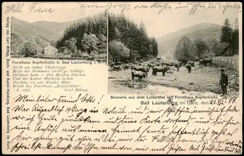 Bad Lauterberg im Harz 2 Bild. Forsthaus Kupferhütte, Schäfer 1899