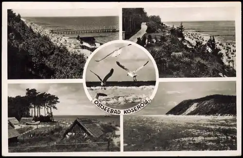 Ansichtskarte Koserow Usedom Möwen, Hütten, Strand 1939