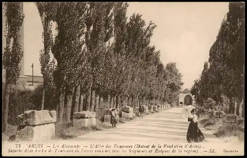 CPA Arles Allée des Tonveaux; Allee Straßen Ansicht 1910