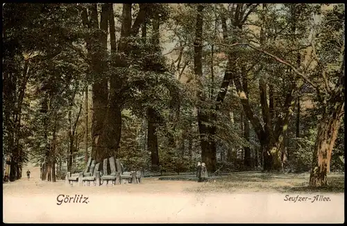 Ansichtskarte Düsseldorf Seufzerallee, Bank 1911
